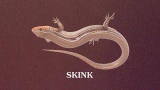 [YTP] Skink