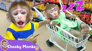 Oh No! Baby Got Lost Song  Where Is The Baby | Cheeky Monkey - Nursery Rhymes & Kids Songs