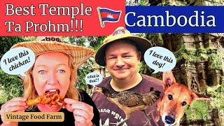 CAMBODIA   Ta Prohm Temple!