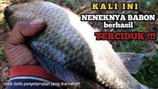 REKOR !! MANCING IKAN NILEM MONSTER TERBESAR !! HITUNGAN DETIK UMPAN TURUN LANGSUNG DI SAMBAR !!