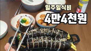 [알뜰한가계부] #67 폭설,강추위엔 집밥이 최고 / 목살덮밥, 냉이된장국, 김밥, 삼겹살볶음밥, 돼지고기김치찌개, 꼬마김밥 / 네네치킨치즈스노잉