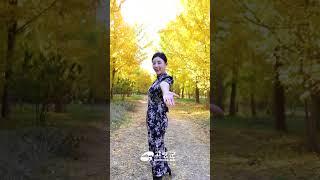 다산면 좌학리 은행나무숲 #Shorts