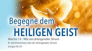 Woche 14 - Wie ein drängender Strom