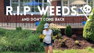 Easiest Way To Get Rid Of Weeds! // Cheap & Fast‍️ // Crystal Does