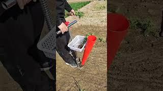 Planting and weeding process- - Goodtools and machinery make work easy