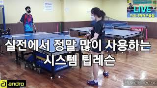 실전에서 정말 많이 사용하는 시스템 팁레슨 #박프로핑퐁톡톡 #마포사랑탁구클럽 #andro #r48