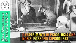 5 esperimenti di psicologia che oggi non potrebbero più essere condotti [STORIA DELLA PSICOLOGIA]