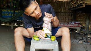 dad and baby monkey bita eat banana together | DAD AND MONKEY BITA