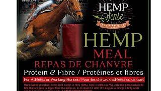 Horse Care Hemp Supplements