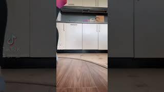 Хвостик в деле