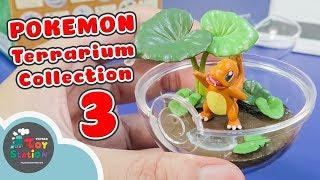 Pokemon Terrarium Collection 3 đủ bộ Pokemon cơ bản với Charmander ToyStation 250