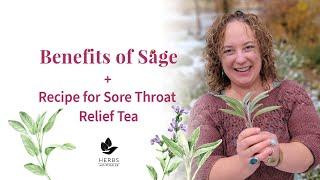 Benefits of Sage Herb | Sage Tea Benefits + Sore Throat Relief Recipe