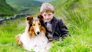 Lassie Pelicula Familiar Completa Español Latino