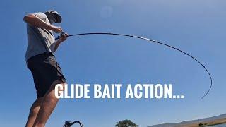 Glide Bait action from this spring!