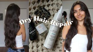 Reviving My Dry Beach Hair | Wash Day Vlog & New Products 