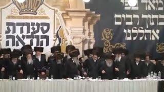 Motze Shabbos Nachmu in Skulen | מוצאי שבת נחמו בחצר סקולען