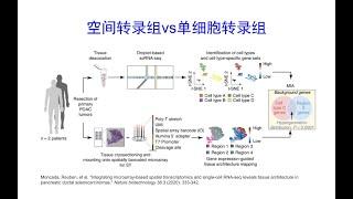 空间转录组和单细胞转录组区别和选择