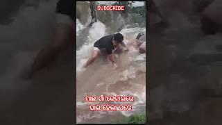 Jagatsinghpur Machagaon cenal flood  G99News Breaking News | Jagatsinghpur Video