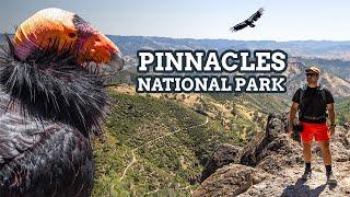 Exploring Pinnacles National Park: Caves, Trails, and Condors! NP 14/63