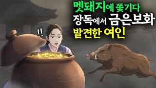 멧돼지에게 쫓기다 장독에서 금은보화 발견한 여인