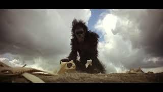 The Greatest Scene Ever | First Tool Use (Ape Bone)- 2001 a Space Odyssey (1968) Full HD