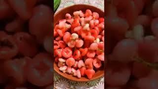 redcolour waterapples #লালজামরুল#dailyvlog #nature#youtube#@smriti'sdiary#subscribe218#reels#shorts