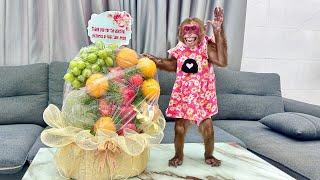 Monkey Kobi adorable reaction when receiving a fruit gift from Mrs. Peggy Lin