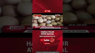 Harga Telur Ayam Tembus Rp30.000 Per Kilogram #shorts #telur #tvone