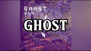STIM - ghost (Official Lyric Video)