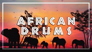 AFRICAN DRUM MUSIC • Tribal Beats • Shaman Dance • Unleash your Primal Self