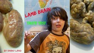 Lamb Brain Taste Test | By SnakyLand