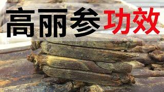 高丽参的功效和作用？高丽参的食用禁忌！