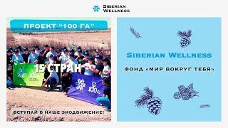 “100 га” - создавай зеленое будущее вместе с Siberian Wellness!