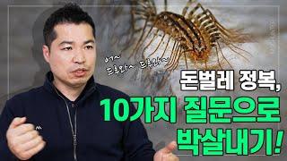 징그러운 그리마(돈벌레) 퇴치의 궁금증, TOP10 질문에 최고 전문가가 답해드립니다!