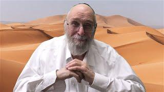 Parshas Bamidbar with Reb Chaim Kramer