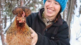 Keeping Chickens in Extreme Cold | Off Grid Alaska