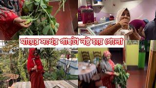 মায়ের সখের জিনিস টা নষ্ট হয়ে গেলোমায়ের মন অনেক খারাপ 