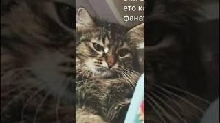 Мемы и мемы #приколы #мемы #мем #лютыеприколы #школа #троллинг #хахашечная