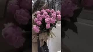 Розовые пионы