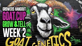 The Goat Cup Grow and Tell week 2: Epic showdowns