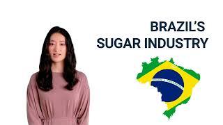 BRAZIL’S SUGAR INDUSTRY PART 1