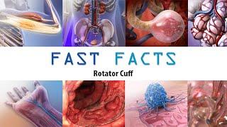 Rotator Cuff: Visible Body Fast Facts