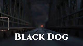 Arlo Parks - Black Dog (Lyrics)