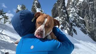 Snoqualmie Pass Backcountry - Pineapple Pass