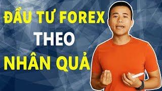 Chiến lược đầu từ Forex theo luật nhân quả |Forex15phut