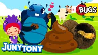 The Dung Beetle Song | Why Do Dung Beetles Like Dung? | Insect Songs for Kids | JunyTony