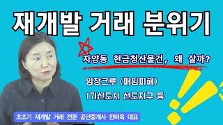 자양동 현금청산물건 거래되는 이유, 매임 현장크루 피해, 1기 선도지구지정등 요즘 중개업 거래 동향