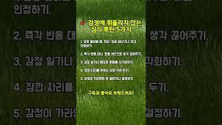 감정에 끌려 다니지 않는 사람들의 비밀 감정 조절 루틴 5가지 #calmon #긍정의말 #긍정적마인드