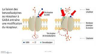 Traitement médicamenteux du stress : benzodiazépine, anti-dépresseur,  anxiolytique et gaba (vidéo7)