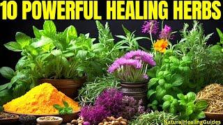 Top 10 MEDICINAL HERBS for Healing & Disease Prevention: NATURE'S Best Kept SECRETS! 